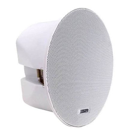 Speaker DSP602