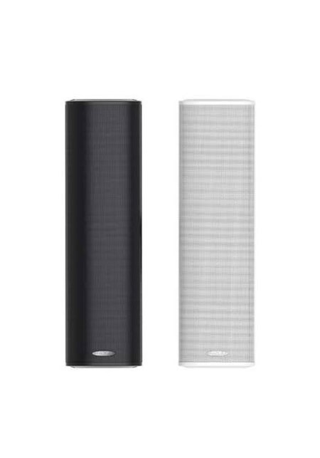 Speaker DSP455II