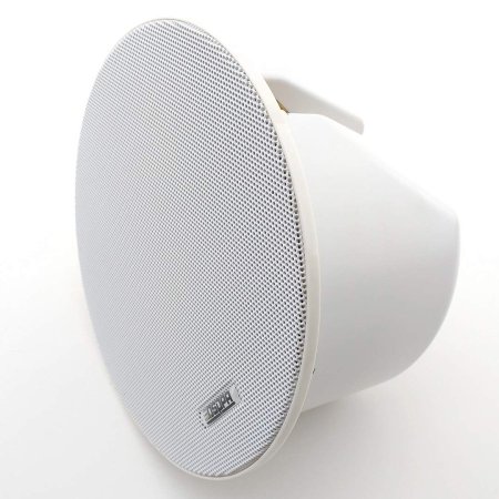 Speaker DSP5211C