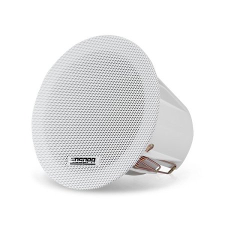 Speaker DSP3011C