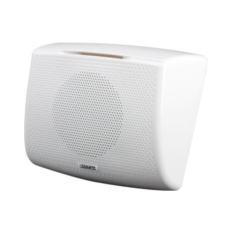 Speaker DSP116II
