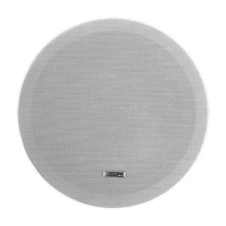 Speaker DSP5012