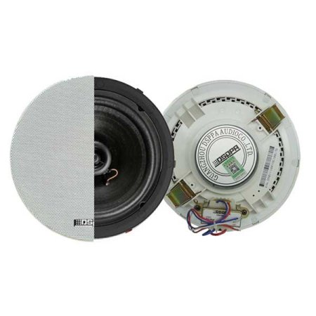 Speaker DSP5211