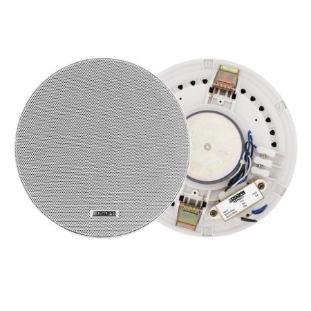 Speaker DSP6011